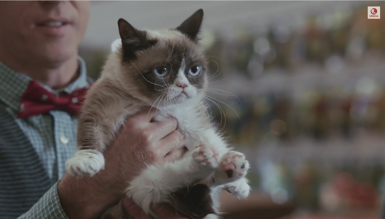 Grumpy Cat's Worst Christmas Ever, Channel Awesome