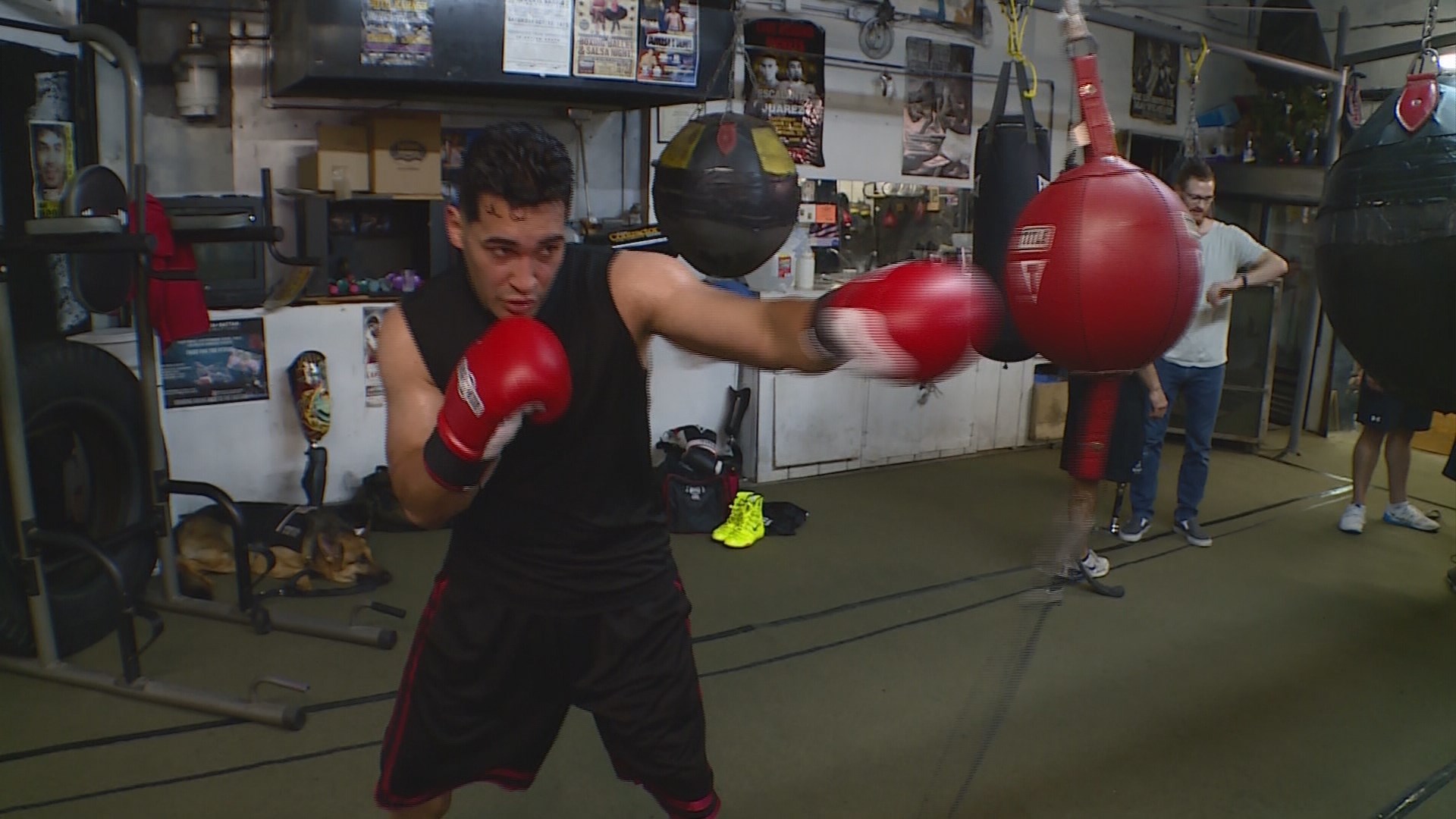 Fit to fight Amputee boxers show their mettle kens5