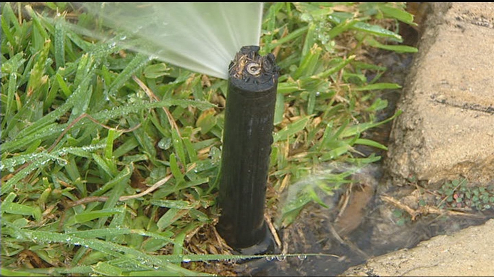 SAWS drops water restriction to yearround conservation