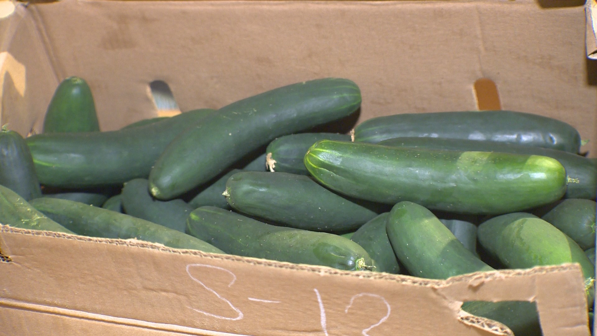 Deadly Salmonella outbreak linked to cucumbers