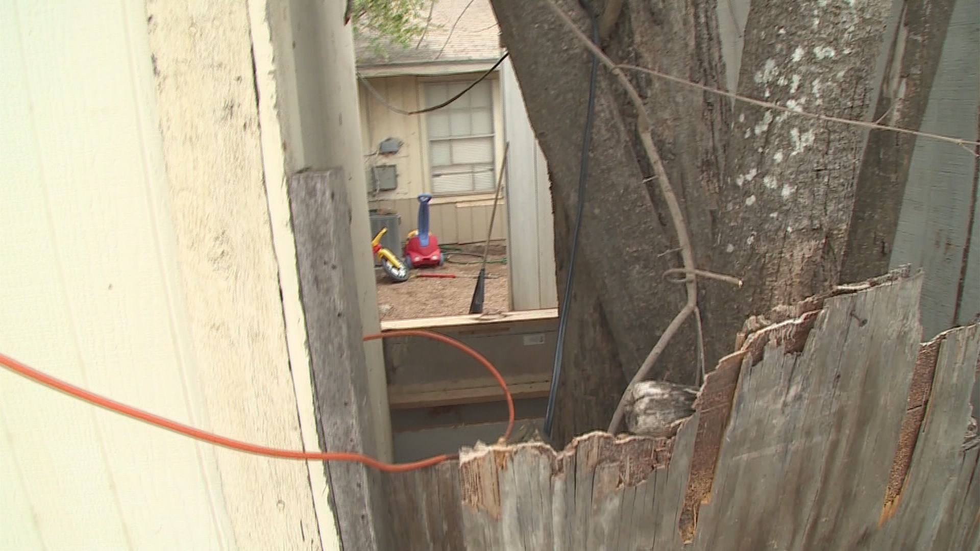 Mother of children found with kids chained in back yard arrested | wfaa.com