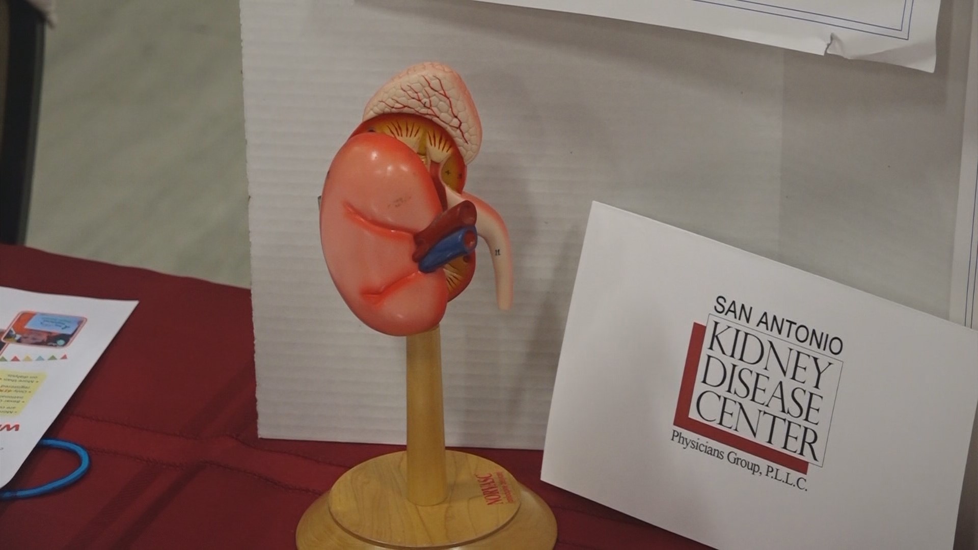 Wearable kidney debuted at kidney patient symposium