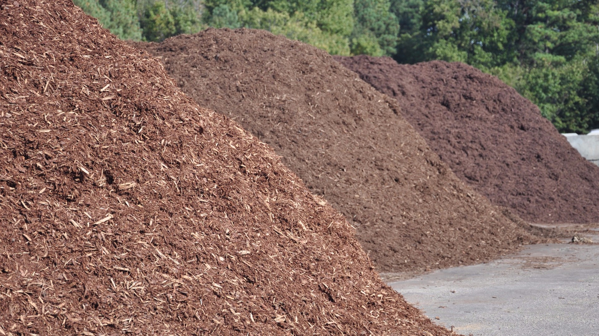 San Antonio turning tornado debris brush into thousands of pounds of free  mulch | khou.com