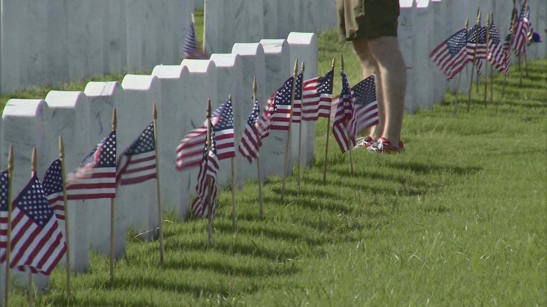 Veterans day stores open