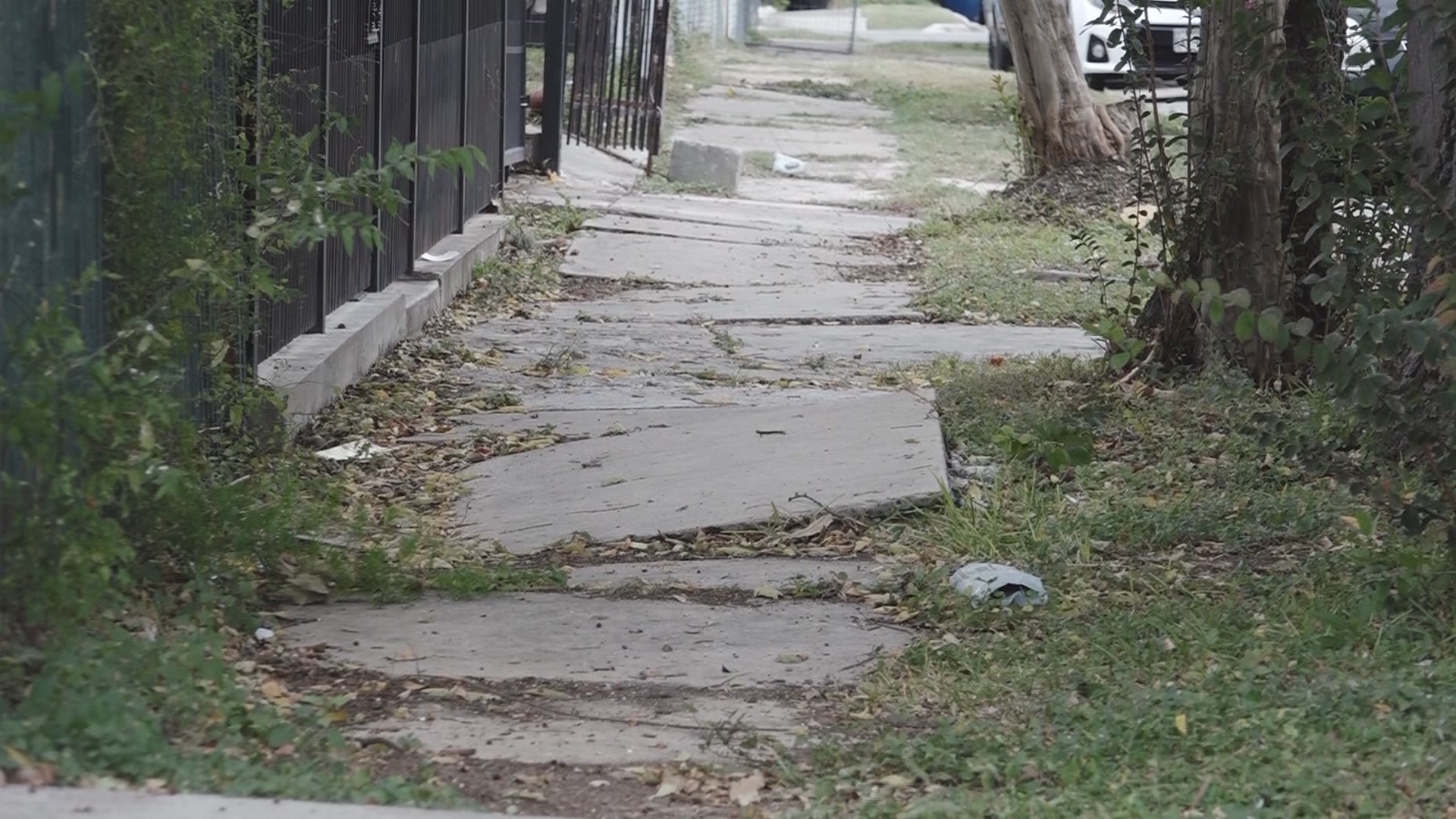 Damaged Sidewalks In San Antonio Continue To Frustrate